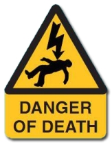 SES WLLFT23YB Danger of Death Label (Pack 5)