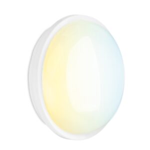Aurora AU-BH108CS 8W Colour Switchable Bulkhead