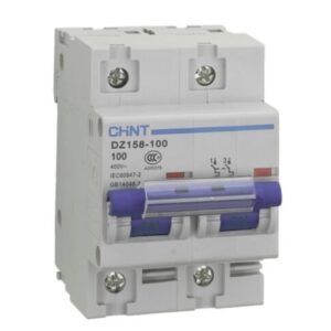 Chint 63A 2 Pole 10kA MCB