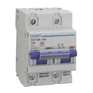 Chint 80A 2 Pole 10kA MCB